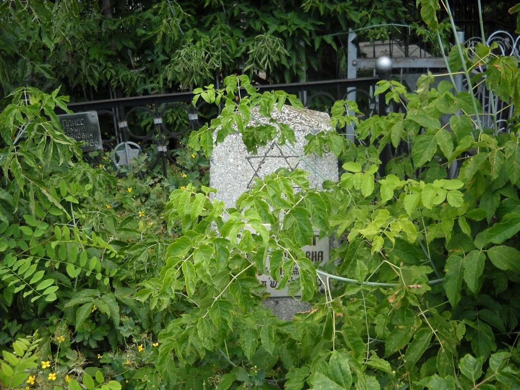 Плисс Самуил , Саратов, Еврейское кладбище